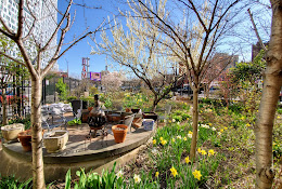 Brooklyn Bears/Rockwell Place Garden