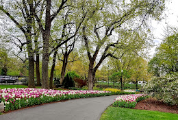 The Scotts Miracle-Gro Foundation Childrenâ€™s Garden
