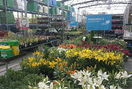 Lowe’s Garden Center