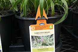 Lowe’s Garden Center